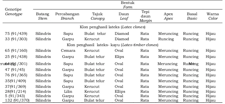 Tabel 5. Karakter morfologi genotipe yang terseleksi Table 5. Morphology characters of selected progeny    