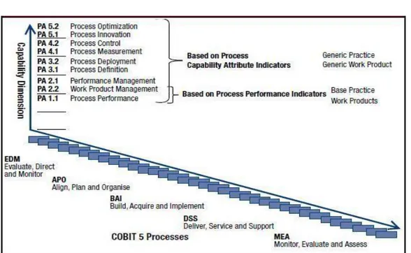 Gambar 12. Indikator tingkat kapabilitas proses COBIT 5 