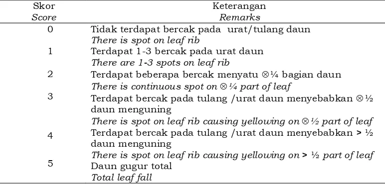 Tabel 1. Nilai bercak dan cacat daun  serangan penyakit gugur daun C. gloeosporioides Table 1