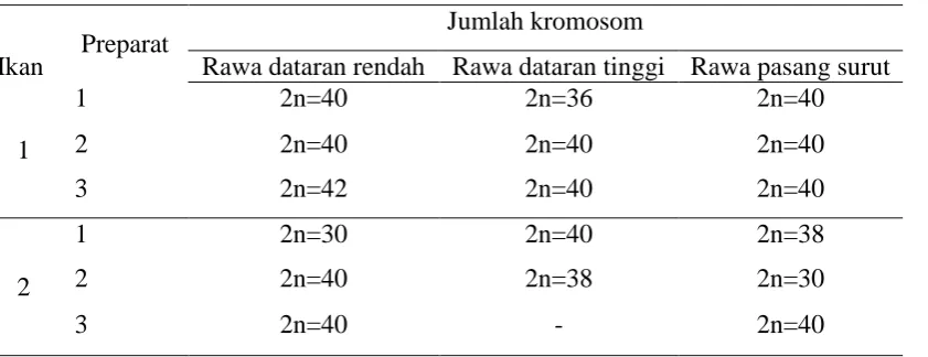 Tabel 1. Jumlah kromosom ikan gabus 