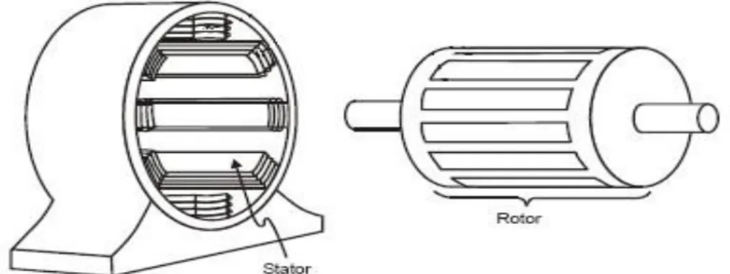 Gambar 2.1 Penampang stator dan rotor motor induksi tiga fasa 