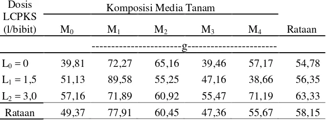 Tabel 10.Bobot kering akar kelapa sawit pada berbagai komposisi media tanam dan pemberian dosis limbah cair pada umur 54 MST