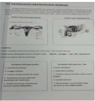Gambar 4.4. Materi Pendidikan Seks 