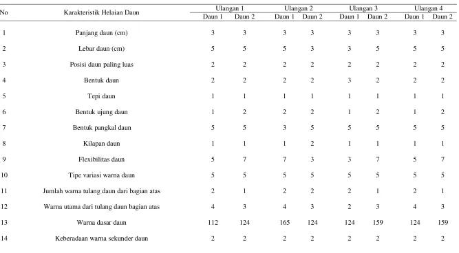Tabel 7.  Hasil Skoring Tanaman Aglaonema (Aglaonema cochinense Schott.) Varietas Lady Valentine Perlakuan 3 Jam Perendaman dengan Konsentrasi Kolkhisin 5 ppm (T1K1) 