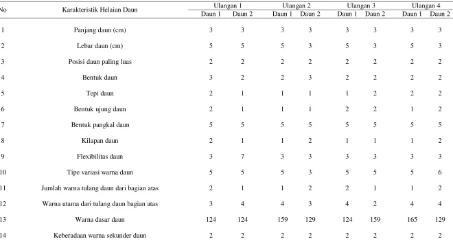 Tabel 8.  Hasil Skoring Tanaman Aglaonema (Aglaonema cochinense Schott.) Varietas Lady Valentine Perlakuan 3 Jam Perendaman dengan Konsentrasi Kolkhisin 10 ppm (T1K2) 