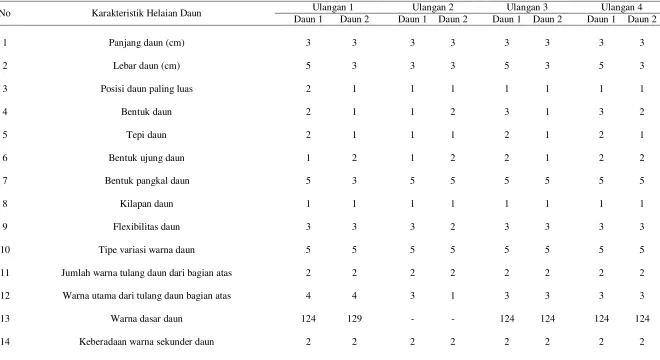 Tabel 9.  Hasil Skoring Tanaman Aglaonema (Aglaonema cochinense Schott.) Varietas Lady Valentine Perlakuan 6 Jam Perendaman dengan Konsentrasi Kolkhisin 5 ppm (T2K1) 
