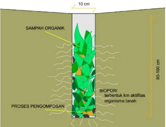 Gambar 2.1 Proses Yang Terjadi di Dalam Lubang Biopori