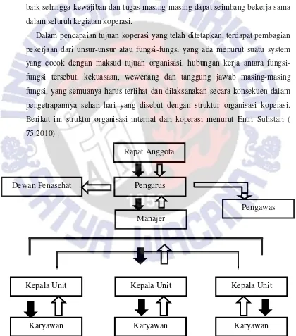 Gambar 2.1. Struktur organisasi internal koperasi 