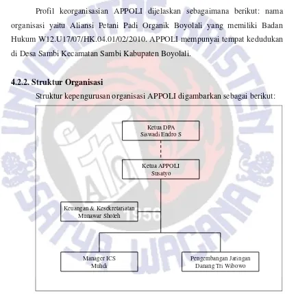 Gambar 3. Struktur Organisasi APPOLI 