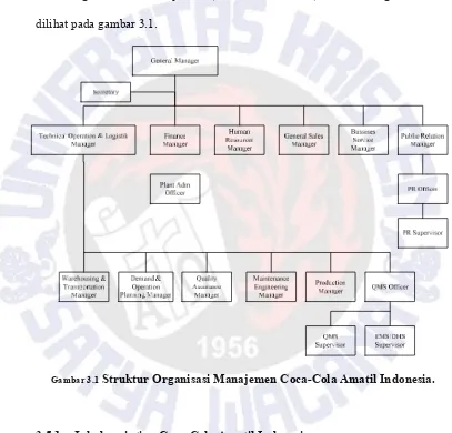 Gambar 3.1 Struktur Organisasi Manajemen Coca-Cola Amatil Indonesia. 