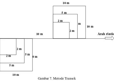 Gambar 7. Metode Transek 
