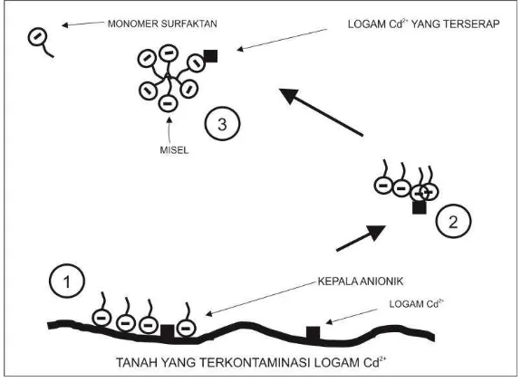 Gambar 4.2 Interaksi Sodium Dodecyl Sulfate dengan Ion Logam Cd2+. 