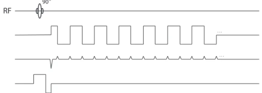 Figure 7: A gradient-echo-planar imaging pulse sequence.
