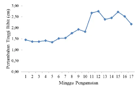 Gambar 1.   Pola pertambahan tinggi tiga varietas bibit kelapa sawit  umur 11 sampai 15  bulan (1-17 MSP)