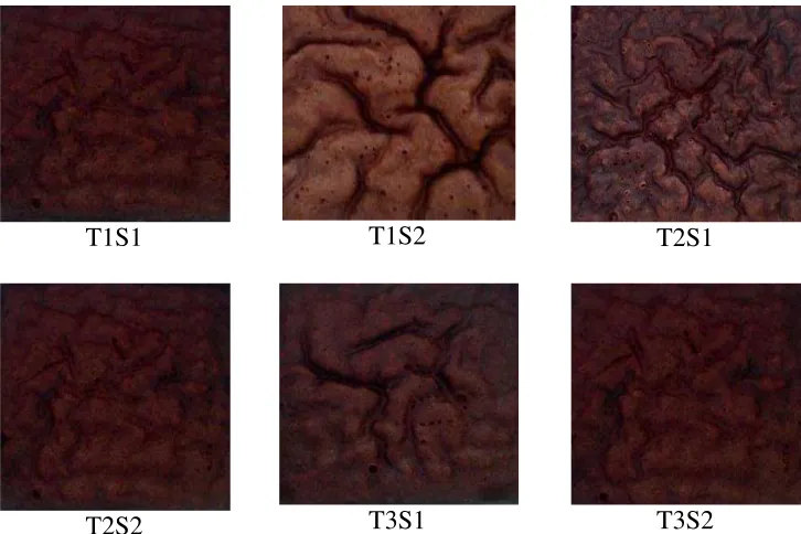 Gambar 1 Perbandingan Warna brownies Kukus dari Tepung Beras Hitam 