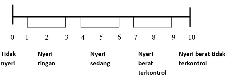 Gambar 1. Skala Nyeri Numerik (Sumber : http://www.painedu.org) 