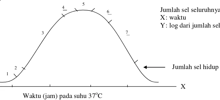 Gambar 2.1 Kurva pertumbuhan bakteri (Dwidjoseputro, 2010). 