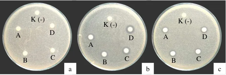 Tabel 4.7 Aktivitas antibakteri bakteriosin dari BAL sampel terhadap S. aureus