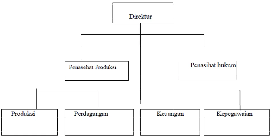 Gambar 3. Organisasi garis dan staf 