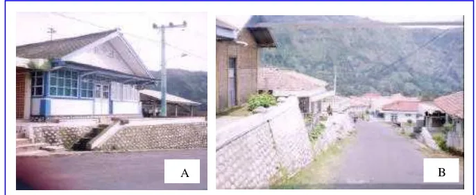 Gambar 7 Lingkungan masyarakat Tengger Ngadisari: A. Model rumah asli Masyarakat Tengger dan B