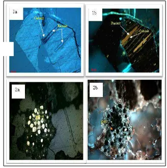Gambar 3 Hasil pengamatan tipikal maseral pada contoh di Formasi Batuayau menunjukkan maseral resinit dan cutinit (1a dan 1b), pirit framboidal ( 2a dan 2b)