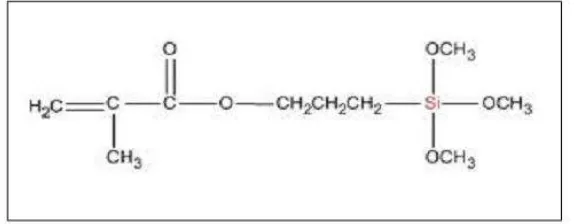 Gambar 2. Ikatan kimia 3-metacryloxypropyltrimethoxysilane. 