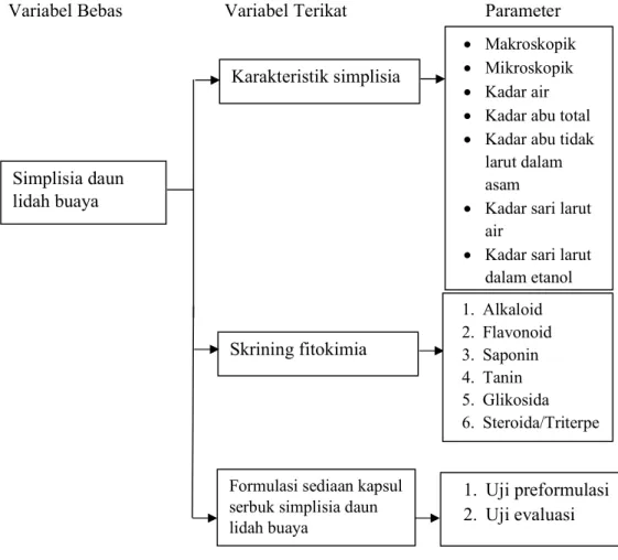 Gambar 1.1 Diagram Kerangka Pikir Penelitian Simplisia daun lidah buaya Karakteristik simplisia    Makroskopik   Mikroskopik   Kadar air 