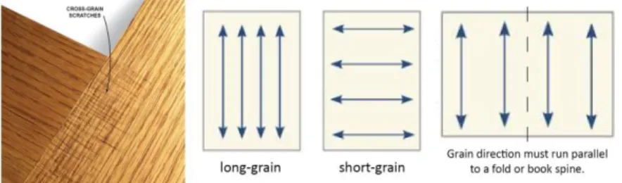 Gambar 2.2. Long Grain dan Short Grain 
