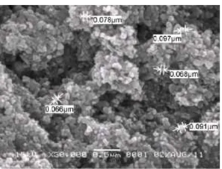 Gambar 6. Partikel ZnO pada Laju Alir Gas Pembawa