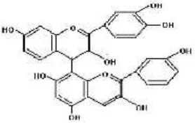 Gambar 1. Struktur dari Senyawa Tanin