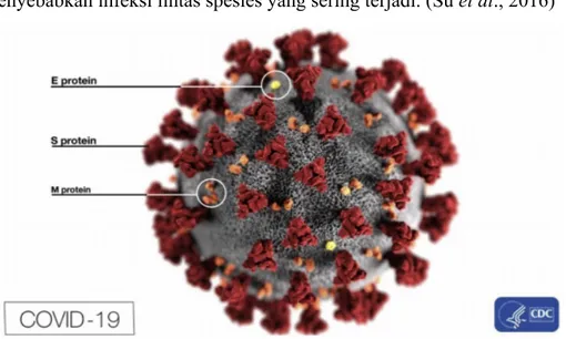 Gambar 2. 1 Struktur Coronavirus (CDC., 2020). 