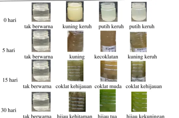 Tabel 20. Analisa Nilai pH Limbah Dengan Uji T  Parameter  Hari ke-  Perlakuan 