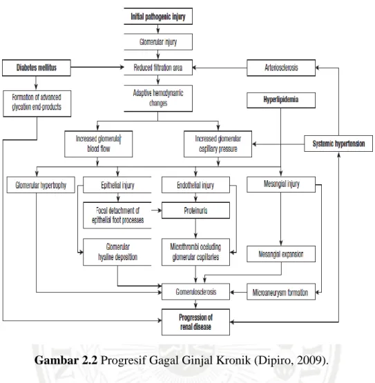 Gambar 2.2 Progresif Gagal Ginjal Kronik (Dipiro, 2009). 