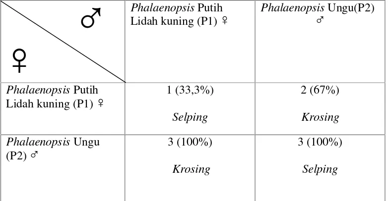 Tabel 4. Jumlah polong buah yang dihasilkan dari masing-masing tiga kalipersilangan dialel lengkap dua tetua Phalaenopsis.