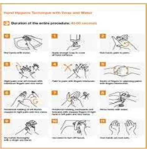 Gambar 2.2 Langkah-langkah cuci tangan 
