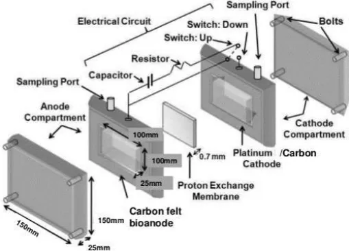 Tabel 1. Beberapa contoh bakteri eksoelektrogen 