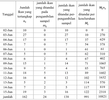 Tabel mengenai informasi yang diperlukan untuk perhitunganjumlah anggota populasi Ikan Mola-mola