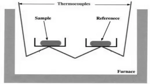 Gambar 2.5  Kurva Ideal Differential Thermal Analysis (DTA) 