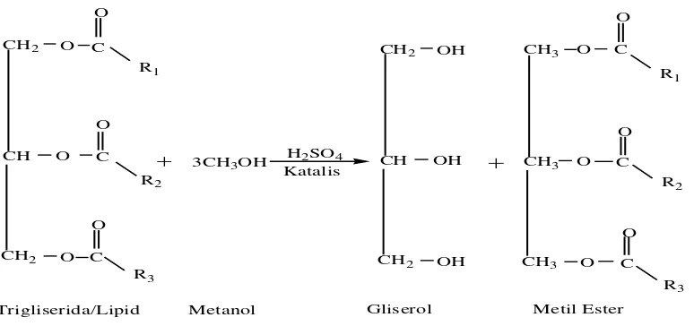 Gambar 4.3 Reaksi Metanolisis trigliserida membentuk metil ester asam lemak  