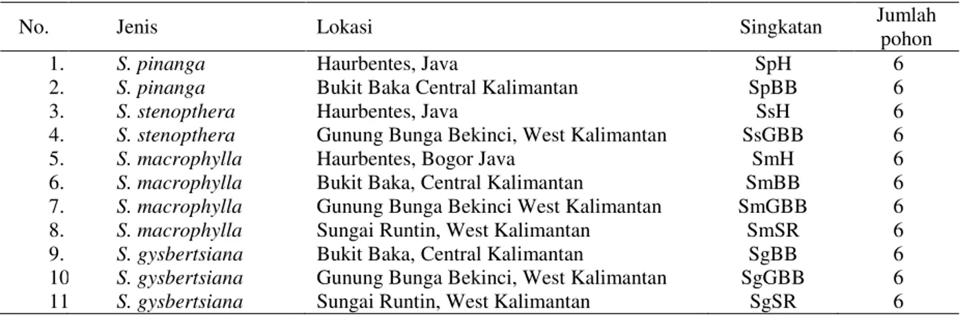 Tabel 1.   Jenis, lokasi dan jumlah sampel dari 11 populasi Shorea penghasil tengkawang di Kalimantan dan  Jawa 