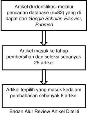 Tabel 1. Tabel Review Artikel 