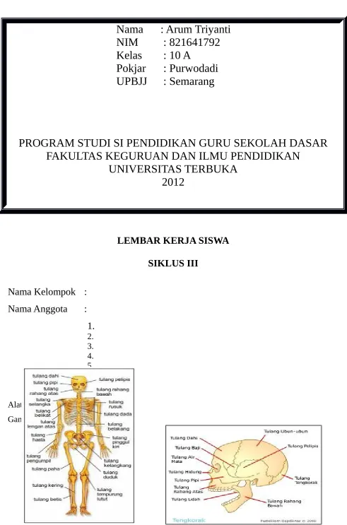 Gambar bagian rangka manusia