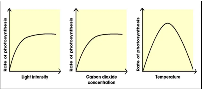 Gambar Kurva hubungan 3 faktor eksternal (cahaya, CO2, suhu) terhadap laju 
