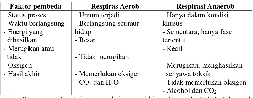 Tabel Perbedaan antara Respirasi Aerob dan Anaerob 