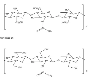 Gambar 2. Struktur N-metil kitosan  