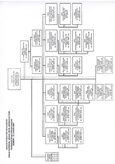 Gambar 4.1 Struktur Organisasi pada Dinas Koperasi Usaha Kecil Menengah (UKM) 