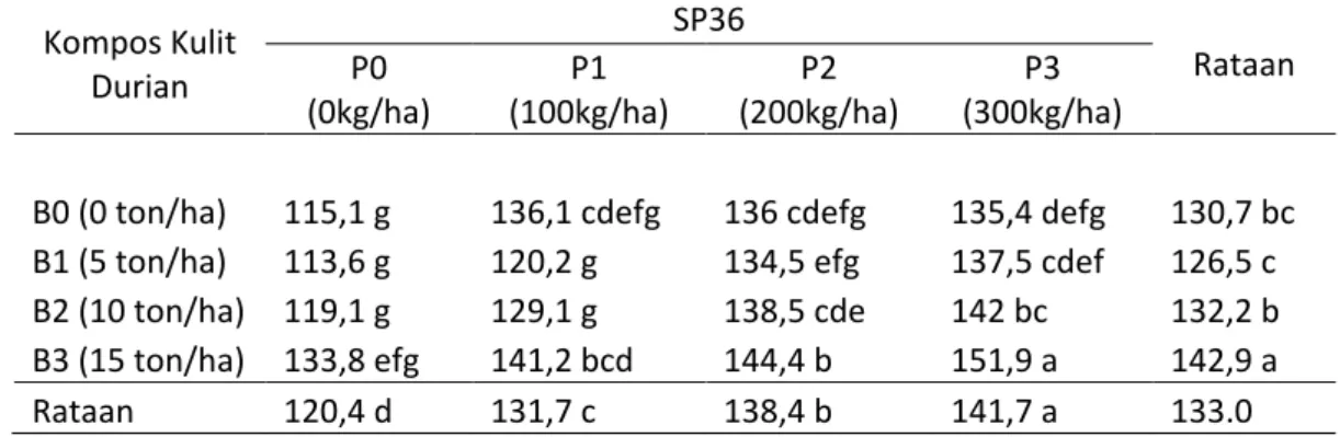 Tabel  4  menunjukkan bahwa pemberianpupuk  SP36 tanaman tertinggi  terdapat pada perlakuan P 3 B 3   (300kg/ha + 15 ton/ha) yaitu 151,95cm dan yang  terendah pada perlakuan P 0 B 1  (0kg/ha + 5ton/ha) yaitu 113,6cm