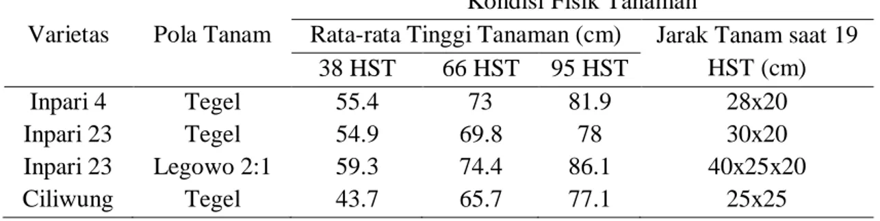 Tabel 2. Pengukuran data lapangan kondis fisik tanaman padi berdasarkan hari setelah tanam  (HST) 