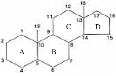 Gambar 1. Struktur steroid 