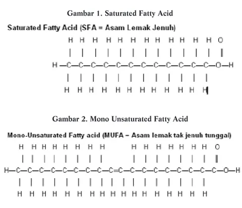Gambar 2. Mono Unsaturated Fatty Acid
